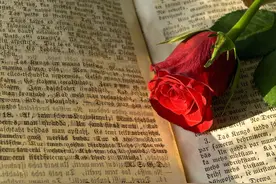 《耻》读后感图片