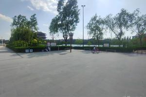 不卸掉辅助轮，你永远都学不会图