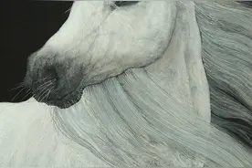 山海经中的异兽，你可以在这里看到图片