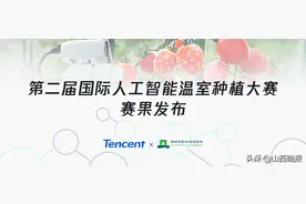 腾讯AI种番茄战胜专家 辽宁试点净利增千元图片