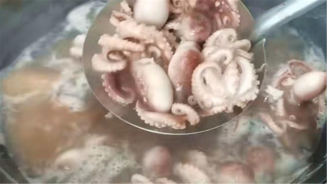 “八爪鱼”一煮就老，很多人错了，海边人教你正确做法，清脆鲜嫩