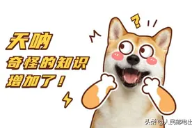 “八卦”名字的故事图片
