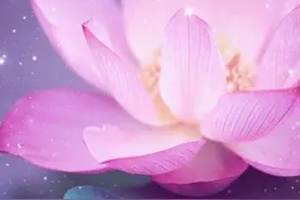 灵魂的出生前计划图片