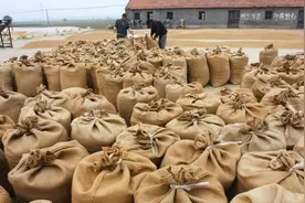 收粮食赚钱的“诀窍”，农村青年靠收粮食3年狂赚500万图片