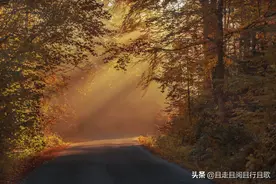 请务必在那个对的人出现之前盛装打扮，等待出席图片