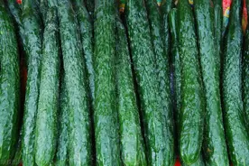 买黄瓜时，直的和弯的怎么选？买错了难吃浪费钱，弄懂了再买图片