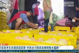 伸出援手！农家女高考结束突遇家庭变故 村民合力助其采摘销售水蜜桃图片