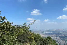 国庆节登无锡惠山 国家森林公园 江南第一山 白云洞内竟藏有摩崖石刻图片