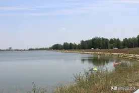 钓位选择之回湾区，湾头湾尾掌握好，大鱼小鱼并不难钓图片