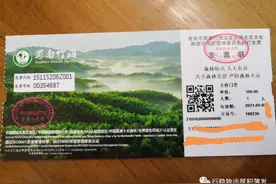 （三）蜀南竹海第一天：人多成趣 竹林深深图片