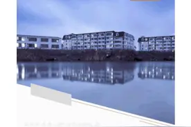 大学生家教也不允许？双减能禁住家长请私教吗？图片