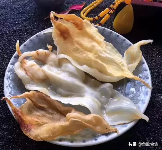 花胶的制取 2026年花胶制作流程