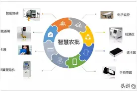 什么是智慧农批？智在哪里？慧在何方？图片