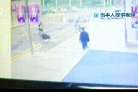 烈性犬咬伤柯基，主人“躺枪”，多家商户在售禁养烈性犬，还有商家提供这项服务图片