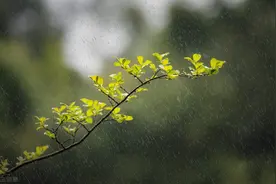 一个人的格局是被委屈和无奈撑大的图片