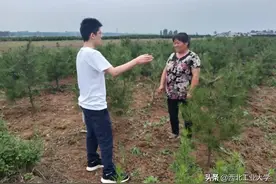 工大研究生“变身记”图片