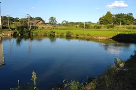 夫妻不能团圆，消除无聊的办法有哪些呢？图片