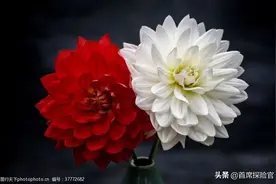 艾滋病离我们有多远？图片