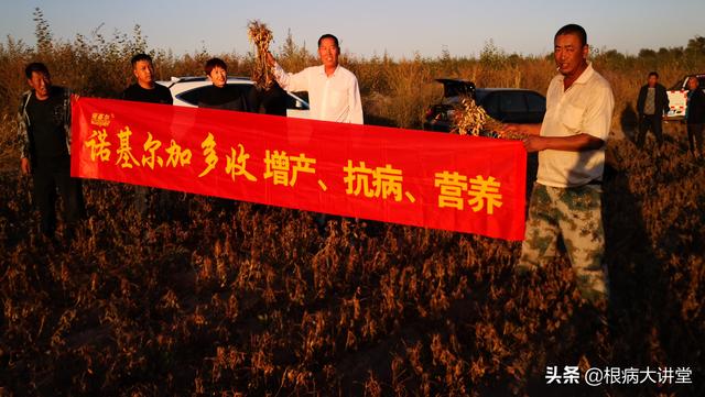 诺基尔：不起眼的氨基酸，原来你这样的了不起