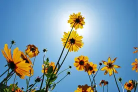 不管是情人还是夫妻，能够为你做到这五点的人，就是真正爱你的人图片