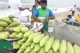 印度海边沙滩烤玉米香喷喷，网友：沙滩垃圾真多