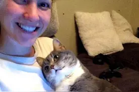 猛男必看！猫猫前世是嗲精吧，谁能受得了这种撒娇图片