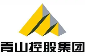 曾经暴动的青山钢铁印尼项目，年薪20万还能去吗图片