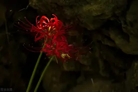 天使在地狱——读《红与黑》论于连图片