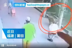 高空坠猫，砸晕遛狗大爷！猫主人喊冤：它自己跳的，当时我不在家图片