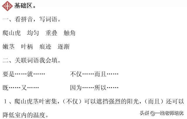 知识点+同步练习题 部编版四年级语文上册 10 爬山虎的脚