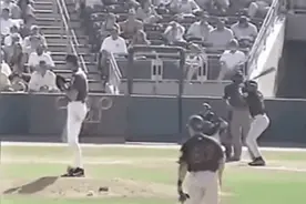 一球把鸽子打成泡沫，棒球运动员惊人的爆发力图片