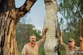 合法持枪的鳄鱼猎人，年薪一亿都没人敢干，这是为什么？图片