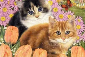 可爱治愈的猫咪插画，总是那么稀罕猫咪呢图片