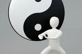珍贵拳谱《陈氏太极拳》中华传统四大名拳之一值得收藏图片
