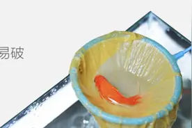 纸巾湿水能养鱼？他凭死磕精神让一包纸巾有百万粉丝图片