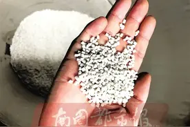 海南这种环保塑料袋有玉米香味，最快3个月完全降解图片
