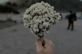 参加完同学聚会，老公意外发错一条朋友圈，结束了我们三年的婚姻图片