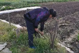 美丽的二姐和姐夫图片