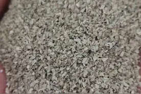 鸡吃蛋，生软壳蛋，别担心，喂食时加一物，三天见效图片