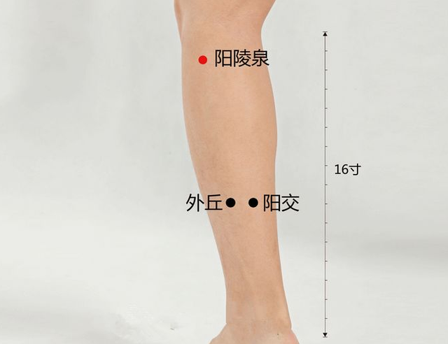 12鳬ʵõѨλϣ൱ڳ12ζҩҩ
