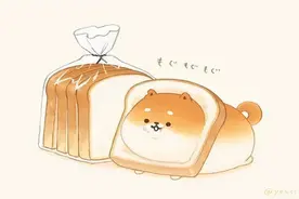 柴里柴气的柴犬面包！一不小心，被面包治愈了图片