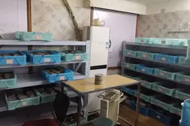 当老板，租场地，抽头渔利……斗蟋蟀被他们玩大发了｜今晚九点半图片