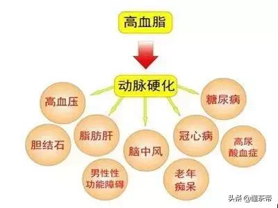 高血脂能夺人命,这么喝茶降脂效果不错!