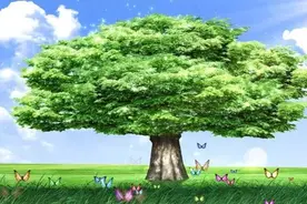 《与你的身体对话》：改变命运从改变语言开始（图）图片