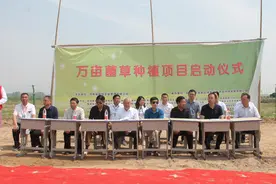 万亩菌草种植项目落户河南新乡平原示范区图片