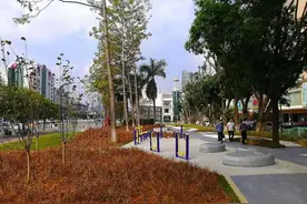 “家门口公园”让广州增城城市生活更美好图片