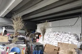 深度｜北京高架桥下的空间，该用来做什么？图片