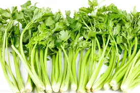 香芹、西芹营养差别大，炒肉适合用哪种？选对了才好吃图片