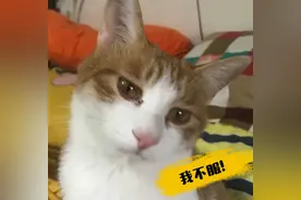 我正在看着你，看着你，目不转睛图片