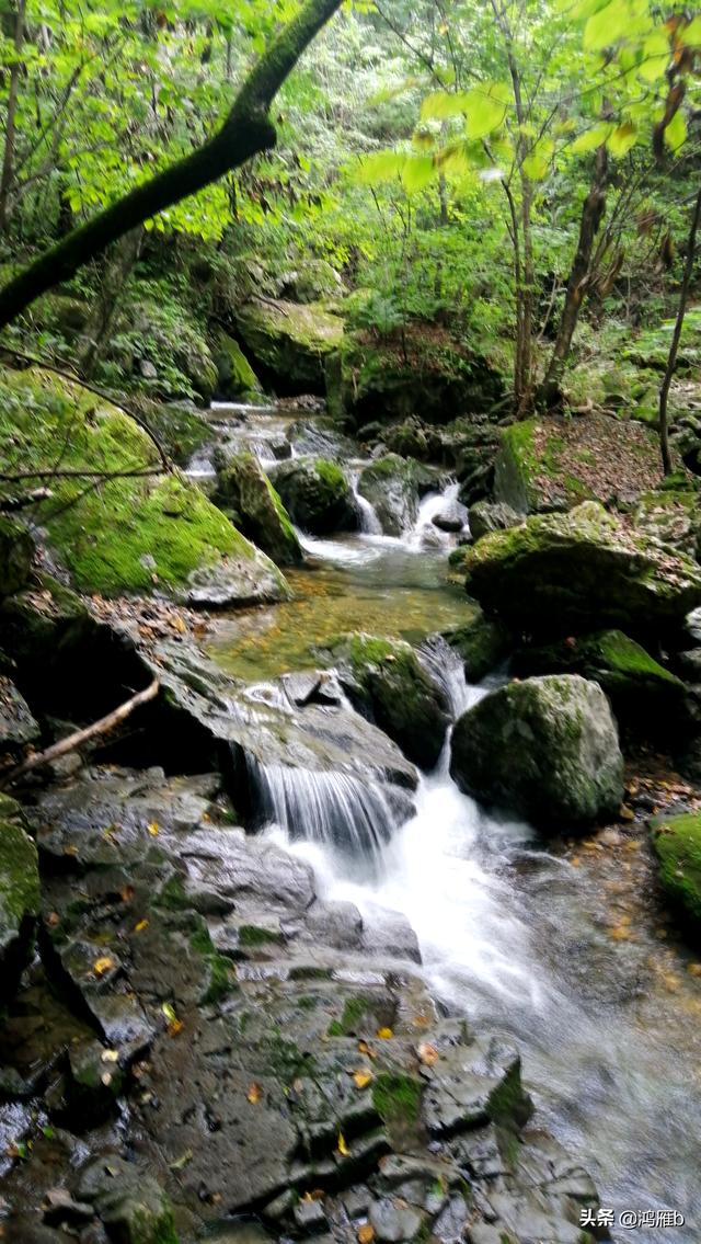 重走抗联路——本溪关门山森林公园鸣翠谷景区抗联秘营